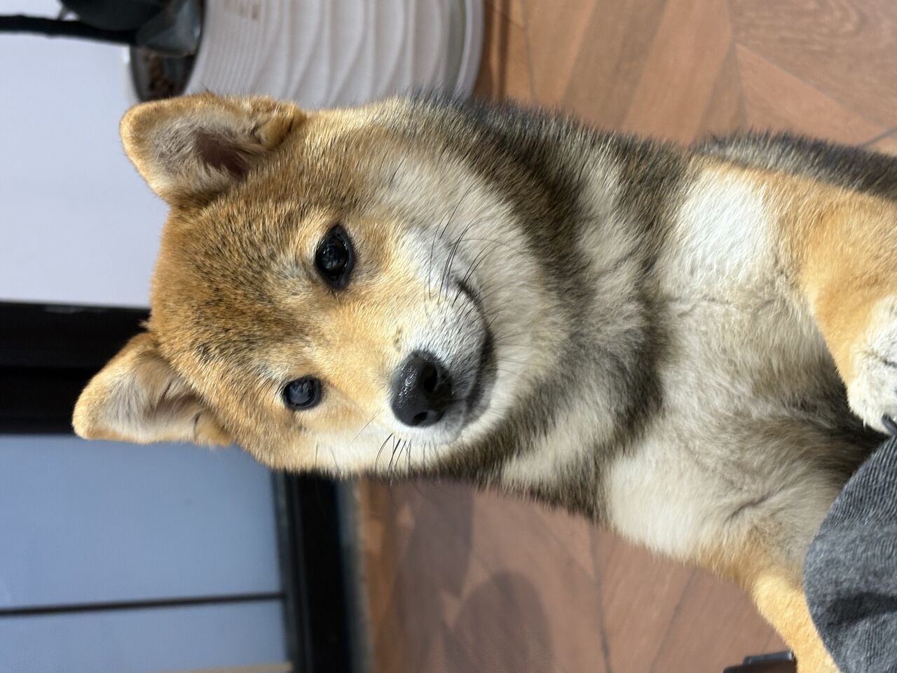 宝珠