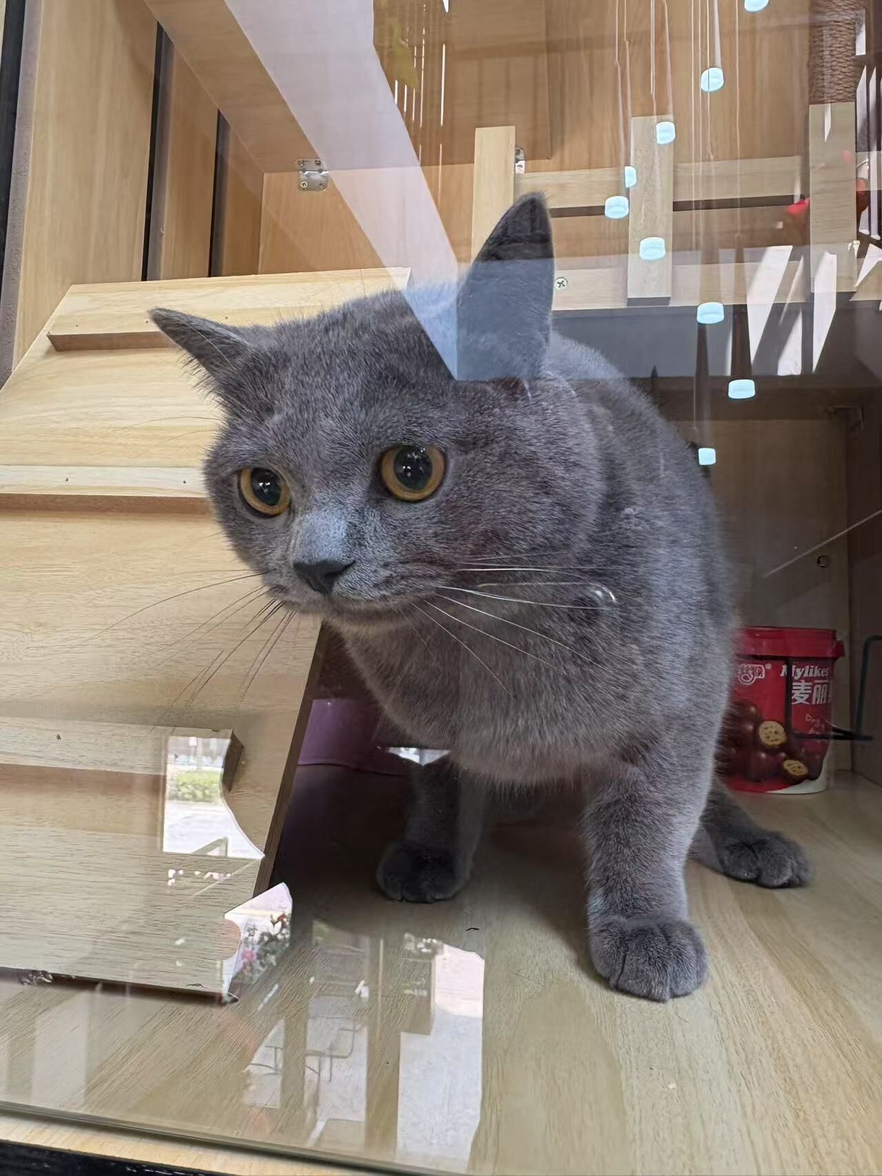 小年