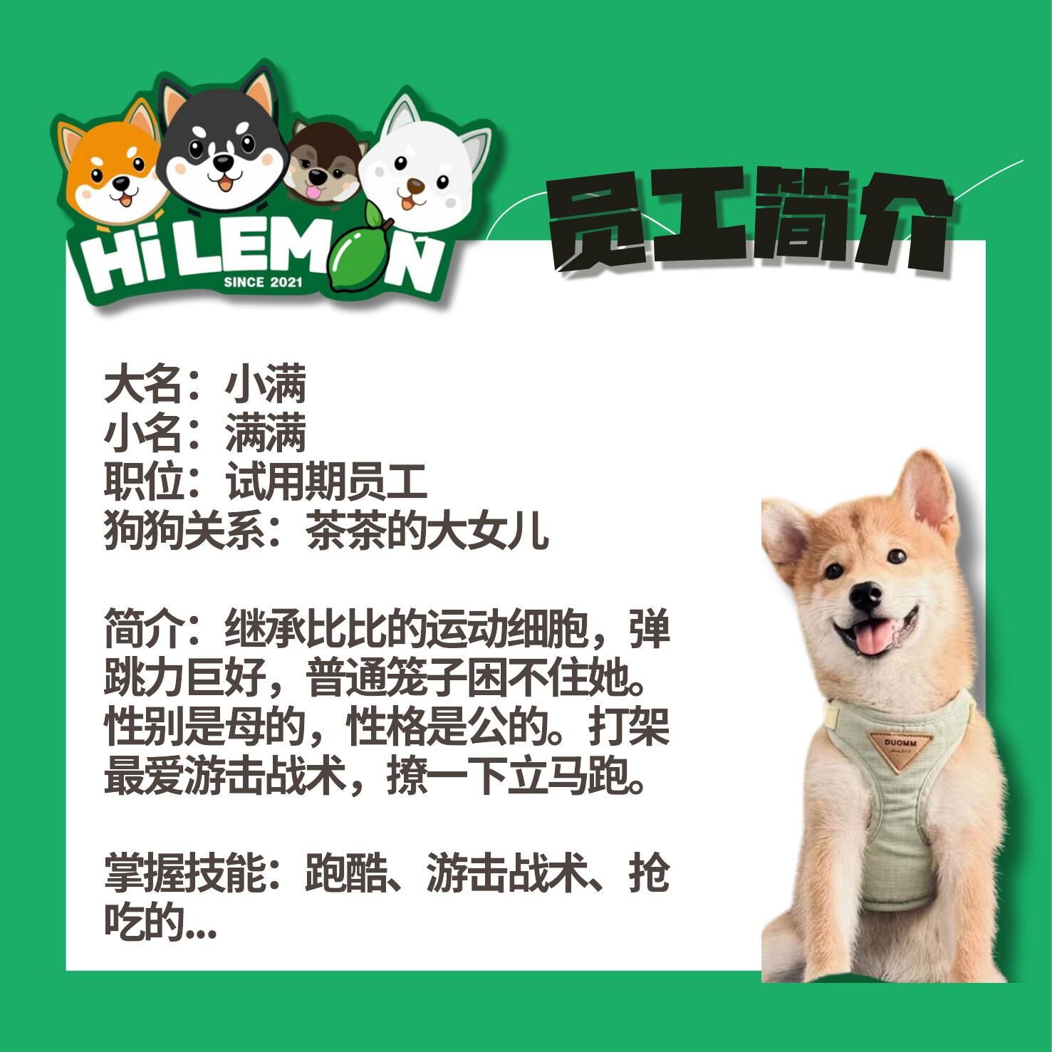 小满 Desc