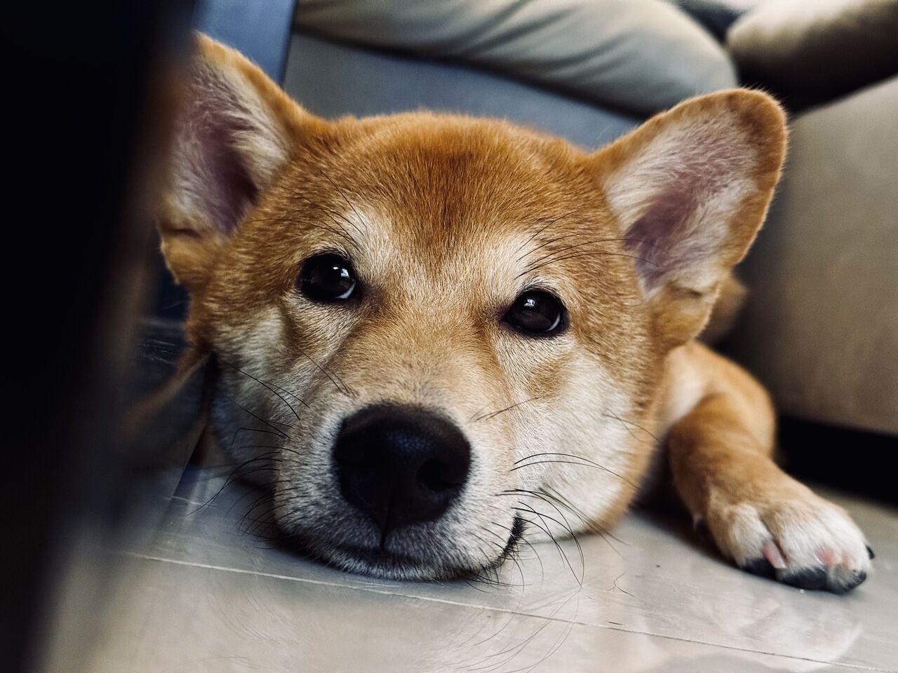 小满