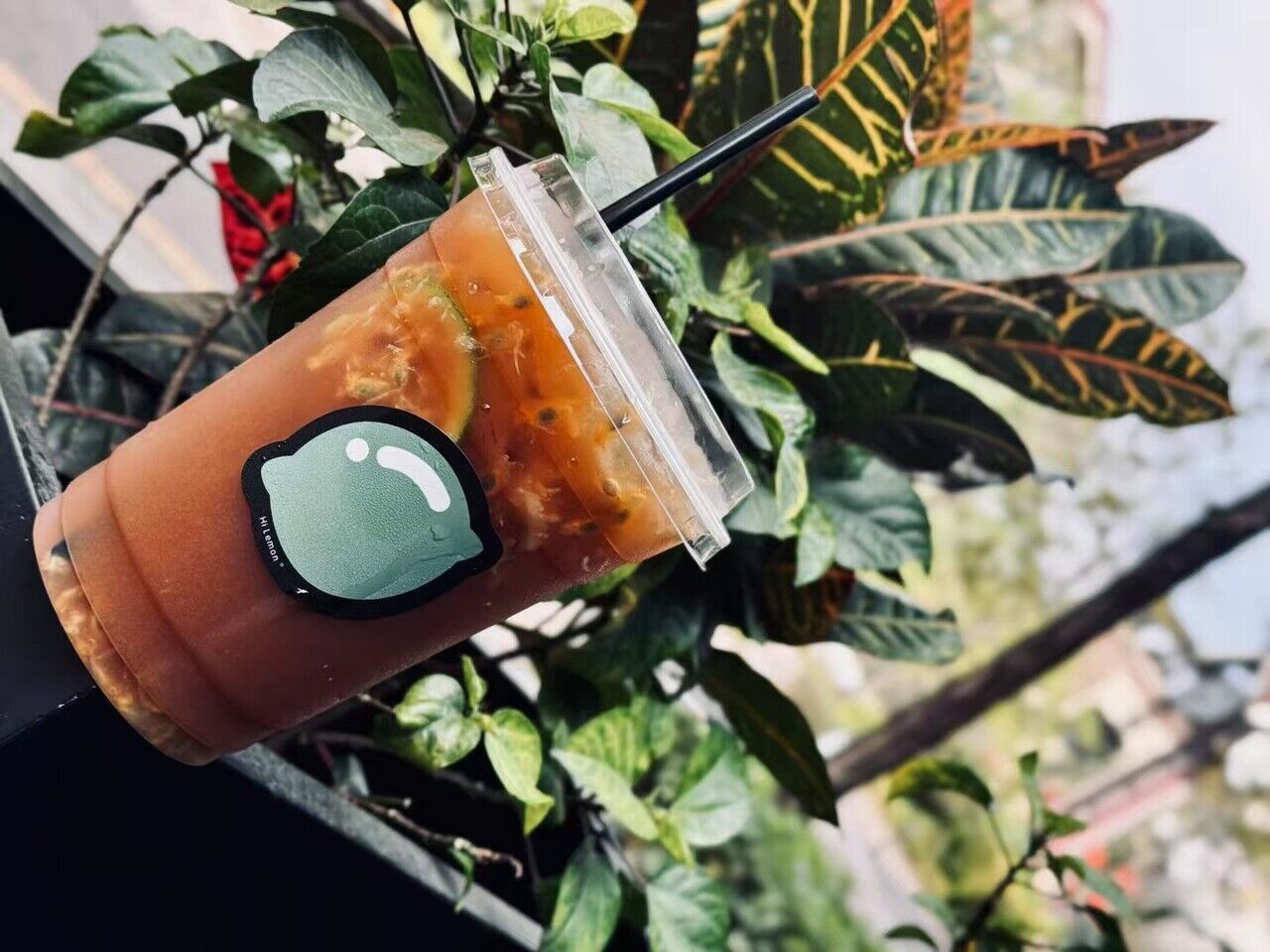 手工现摇柠檬茶，HiLemon招牌饮品